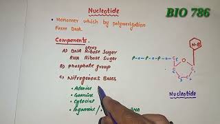 Nucleotide  Composition  purines amp pyrimidines [upl. by Serge]