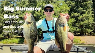 Catching HUGE Largemouth and Spotted Bass  Summer Spotted Bass Fishing [upl. by Nylhtak896]