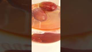 Grapes Vs Sulphuric Acid  Acid Lab 🥽 food sulphuric chemistry [upl. by Landan]