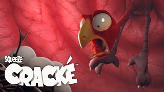 CRACKÉ  UPSET STOMACH Cartoon for kids  Funny Kids TVs [upl. by Narahs]