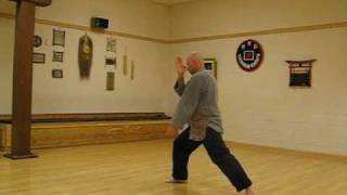 4 Winds Tai Chi Short Form [upl. by Caprice]