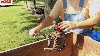 How to Make Your Own Corn Meal and Grits [upl. by Meeharbi]