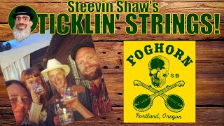 Lets Talk About Foghorn Stringband [upl. by Kettie142]