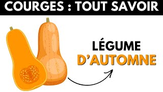 La Courge  ses dangers et bienfaits pour la santé  Dr Santé [upl. by Riem]