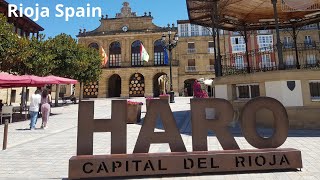 The two capitals of Rioja wine Logroño and Haro Activate the subtitles [upl. by Yoral861]