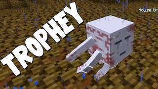 Minecraft  Boss Battles  UrGhast Trophy 19 [upl. by Ademordna]