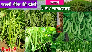 Beans farming Part 2 🌾 फल्ली बींस की उन्नत खेती [upl. by Eniowtna214]