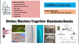 Haemonchosis in sheep and goat A challenging parasitic infection AZ [upl. by Munro]