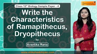 Q14 Write the characteristics of Ramapithecus Dryopithecus CBSE Class 12 Biology [upl. by Eichman]