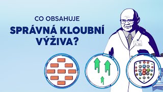 Co obsahuje správná kloubní výživa  Geladrink [upl. by Taylor577]