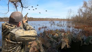 Mallard Hunting A Battle of Wits and Patience [upl. by Eimia]