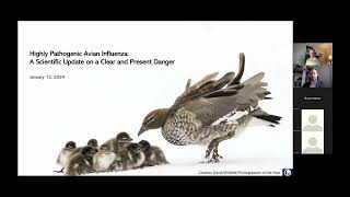 Webinar Highly Pathogenic Avian Influenza HPAI A Scientific Update on a Clear and Present Danger [upl. by Neryt]