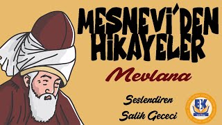 Mesneviden Seçme Hikayeler  Mevlana Sesli Kitap Tek Parça Salih Gececi [upl. by Micro]