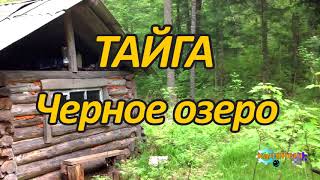 ТАЙГА  Черное озеро 2 из 2 [upl. by Benji731]