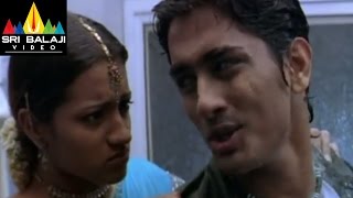 Nuvvostanante Nenoddantana Movie Siddharth amp Trisha Comedy  Siddharth Trisha  Sri Balaji Video [upl. by Rexferd]