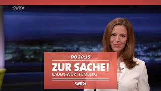 Gefahr durch betrunkene LKWFahrer quotZur Sache BadenWürttembergquot SWR Fernsehen [upl. by Tiersten]