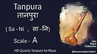 Tanpura A scale sani  तानपुरा सानि  A scale for vocal riyaz male and female [upl. by Nolly]