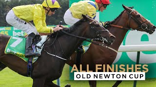 ALL RACE FINISHES FROM OLD NEWTON CUP DAY AT HAYDOCK PARK RACECOURSE [upl. by Marelda]