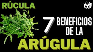 Descubre los 7 Asombrosos BENEFICIOS de la ARÚGULA Rúcula para tu Salud y Bienestar [upl. by Conger]