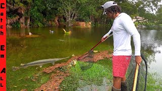 CATCHING GIANT FISH in FLOODED BACKYARD Fish go after Ducks [upl. by Sillad44]