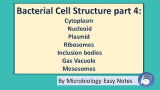 Bacterial cell structure Part 4 cytoplasm and other cytoplasm components [upl. by Campney]