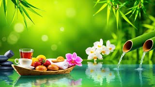 Relaxing Piano Music Bamboo Water Fountain Sleep Music Relaxing Music Meditation Music  4K Video [upl. by Kylila]