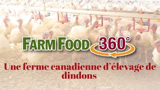 Vidéo 360 degrés – Une ferme canadienne d’élevage de dindons [upl. by Shah]