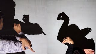 Hand shadow Performance  Amazing video [upl. by Jaime784]