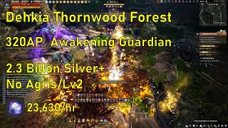 BDO Awakening Guardian Dehkia Thornwood Forest 23600h Lv2 No Agris  각성 가디언 데키아 가시나무숲 [upl. by Elletsyrk]