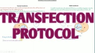 Transfection Protocols ll Transfection methods ll Xgene and ProteinX [upl. by Ecertal]