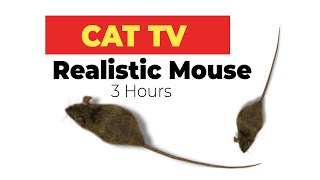 CAT GAMES  Realistic Mouse HD  3 HOURS Video for Cats amp Dogs to watch [upl. by Corri]