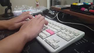 lubedsilenced realforce 87u wmx sliders [upl. by Aisnetroh]