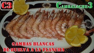 GAMBAS BLANCAS DE HUELVA A LA PLANCHA [upl. by Sheya]