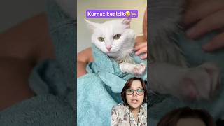 Banyo yapmayı çok seven kedi 🥰❤️ [upl. by Agate]