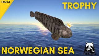 Russian Fishing 4 Trophy Atlantic Wolffish T213 [upl. by Blase]