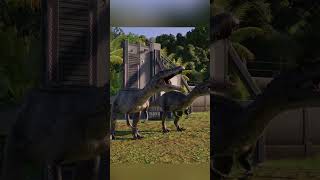 All carnivore release animations Part 2 jwe2 jurassicworldevolution2 dinosaur carnivore [upl. by Akiaki]