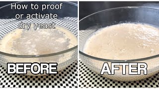 BASIC FOR BEGINNERS HOW TO ACTIVATE YEAST  RIGHT WAY TO ACTIVATE THE DRY YEAST [upl. by Eeraj424]