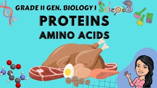 Proteins  Amino acids Grade 11 Gen Biology 1 Grade 10 4th Quarter Tagalog [upl. by Akim]