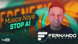 FERNANDO PISADINHA  MÚSICAS NOVAS 2K24 [upl. by Htide]