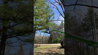 Captain Morgan style tree limb cleanup [upl. by Dallas995]