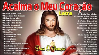 Top 20 Musicas Catolicas  Acalma o meu coraão  JESUS FILHO DE DAVI Noites Traiçoeiras [upl. by Bickart]