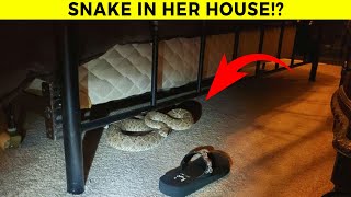 Snakes Invading Homes Caught On Camera [upl. by Leoni]