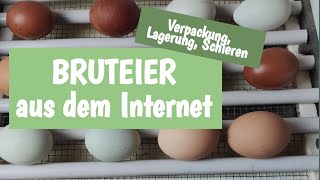 Bruteier im Internet bestellt  Wir brüten wieder [upl. by Edgardo]