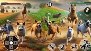 dog resing animals gaming viralvideo [upl. by Ahsiat]