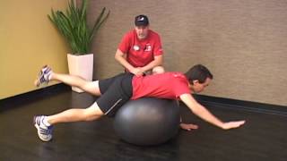 Bird Dog on a Ball Exercise  Bird Dog Exercise  Dr Steven Smith [upl. by Elem577]