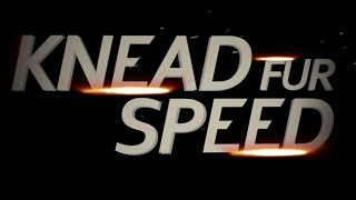 Need for Speed Trailer  Cats Driving RC Cars [upl. by Salvucci]