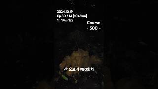 산 오르기 80회차 1h 14m 12s 500 M 20241019 [upl. by Dorothy]