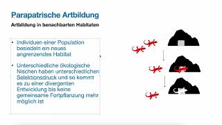 Evolution  Art und Artbildung allopatrische parapatrische und sympatrische Artbildung [upl. by Edora303]