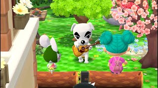 Animal Crossing Pocket Camp  My Campsite [upl. by Sonnnie]