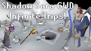 OSRS Shadow Sara GWD  Infinite Trips no EldritchSweets  Chill 5m GPH  Animal Whisperer CA [upl. by Styles]